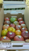 Organic Heirloom Tomatoes (10 Lb Box)